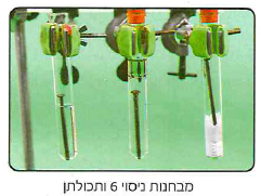 (בספר תמונה, היעזר במנחה)